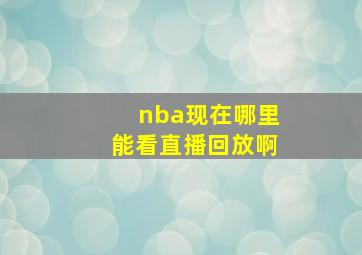 nba现在哪里能看直播回放啊