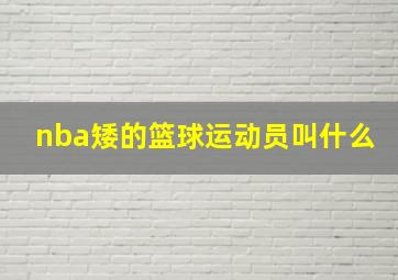 nba矮的篮球运动员叫什么