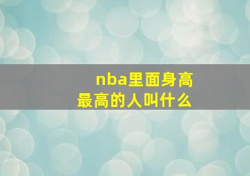 nba里面身高最高的人叫什么