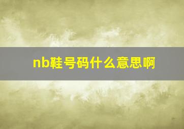 nb鞋号码什么意思啊