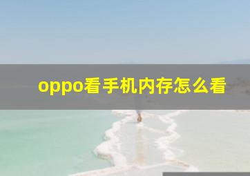 oppo看手机内存怎么看