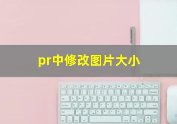 pr中修改图片大小