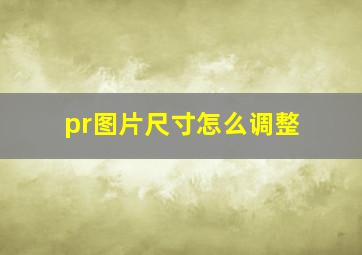 pr图片尺寸怎么调整