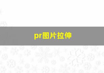 pr图片拉伸