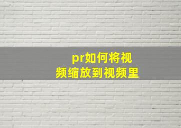 pr如何将视频缩放到视频里