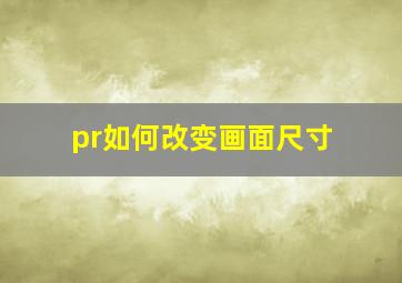 pr如何改变画面尺寸