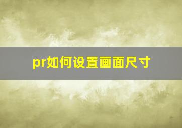 pr如何设置画面尺寸