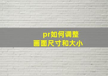 pr如何调整画面尺寸和大小