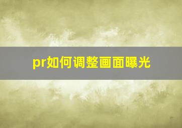 pr如何调整画面曝光