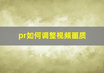 pr如何调整视频画质