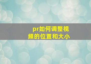 pr如何调整视频的位置和大小