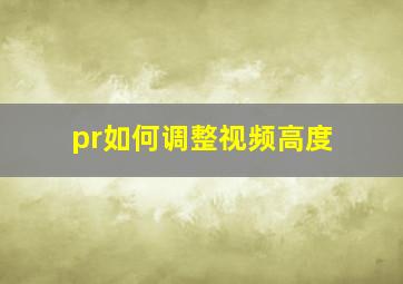 pr如何调整视频高度