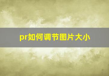 pr如何调节图片大小