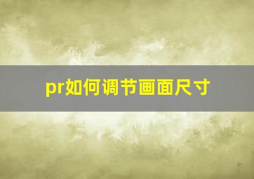 pr如何调节画面尺寸