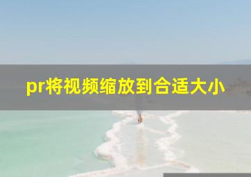 pr将视频缩放到合适大小