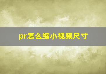 pr怎么缩小视频尺寸