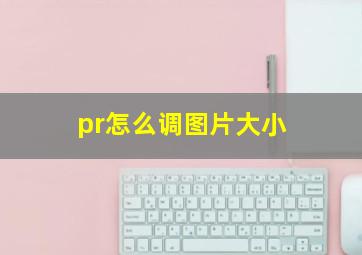 pr怎么调图片大小