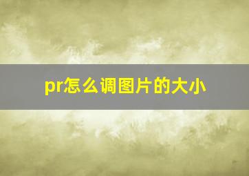 pr怎么调图片的大小