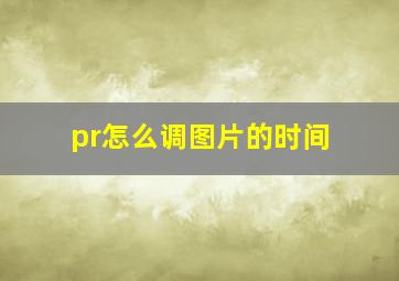 pr怎么调图片的时间