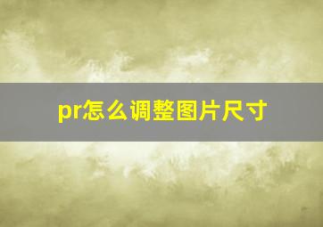 pr怎么调整图片尺寸