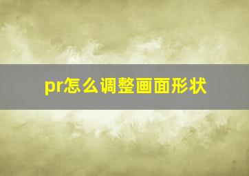 pr怎么调整画面形状