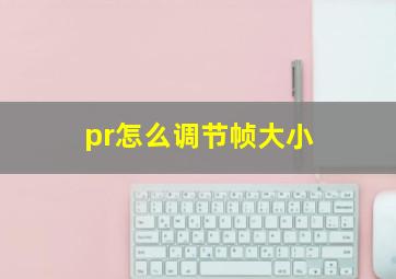 pr怎么调节帧大小