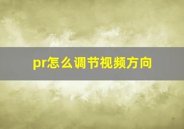 pr怎么调节视频方向