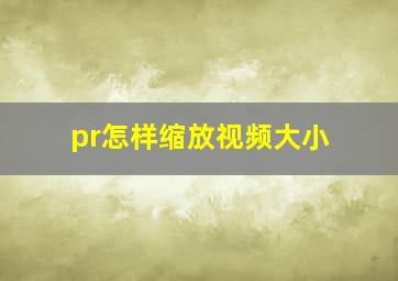 pr怎样缩放视频大小