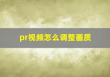 pr视频怎么调整画质