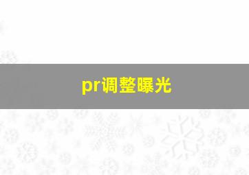 pr调整曝光