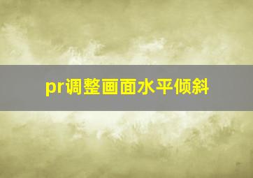 pr调整画面水平倾斜