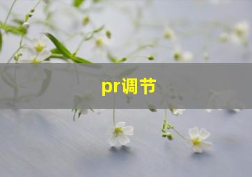 pr调节