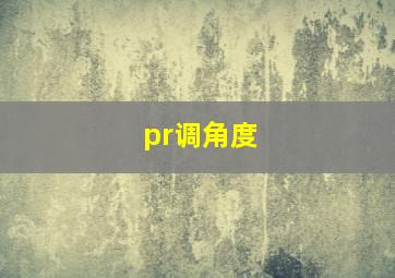 pr调角度