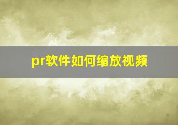 pr软件如何缩放视频