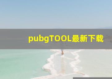 pubgTOOL最新下载