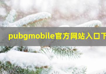 pubgmobile官方网站入口下载