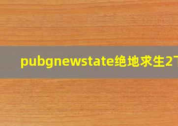 pubgnewstate绝地求生2下载