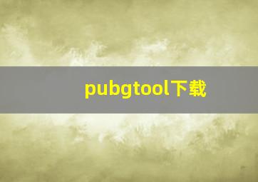 pubgtool下载