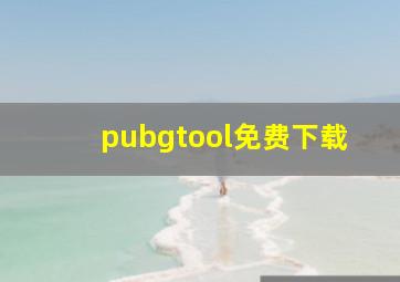 pubgtool免费下载