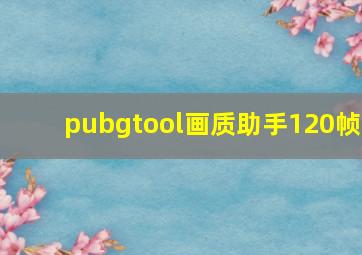 pubgtool画质助手120帧