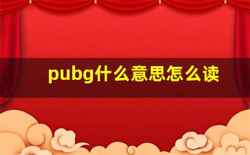 pubg什么意思怎么读