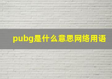 pubg是什么意思网络用语