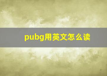 pubg用英文怎么读