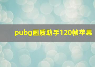 pubg画质助手120帧苹果