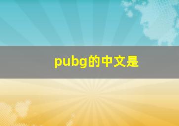 pubg的中文是