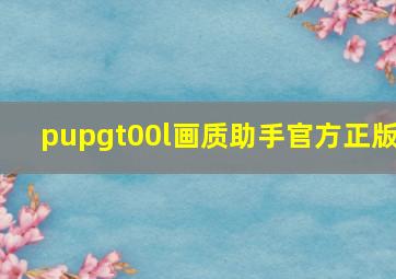 pupgt00l画质助手官方正版