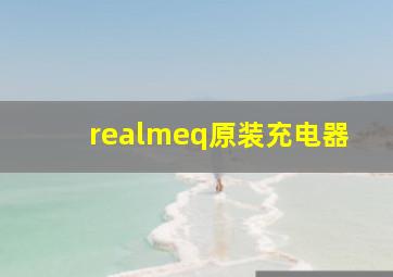 realmeq原装充电器