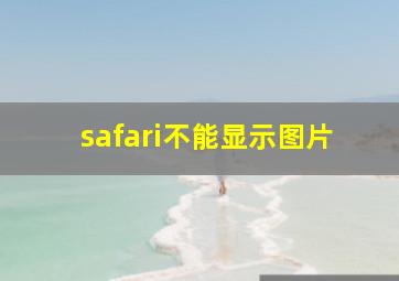 safari不能显示图片