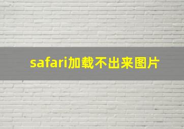 safari加载不出来图片