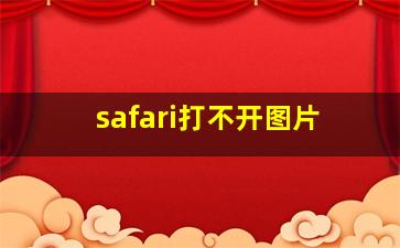 safari打不开图片